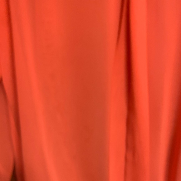 Mendocino Coral Sheer Blouse - Picture 4 of 4